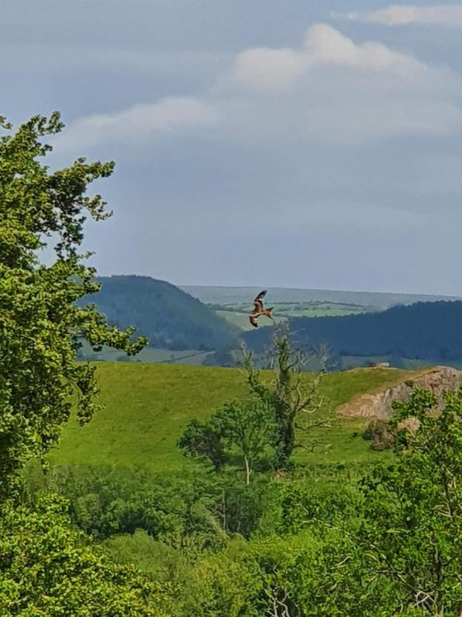 Calon Y Goedwig Glamping Hotel Llandovery Bagian luar foto