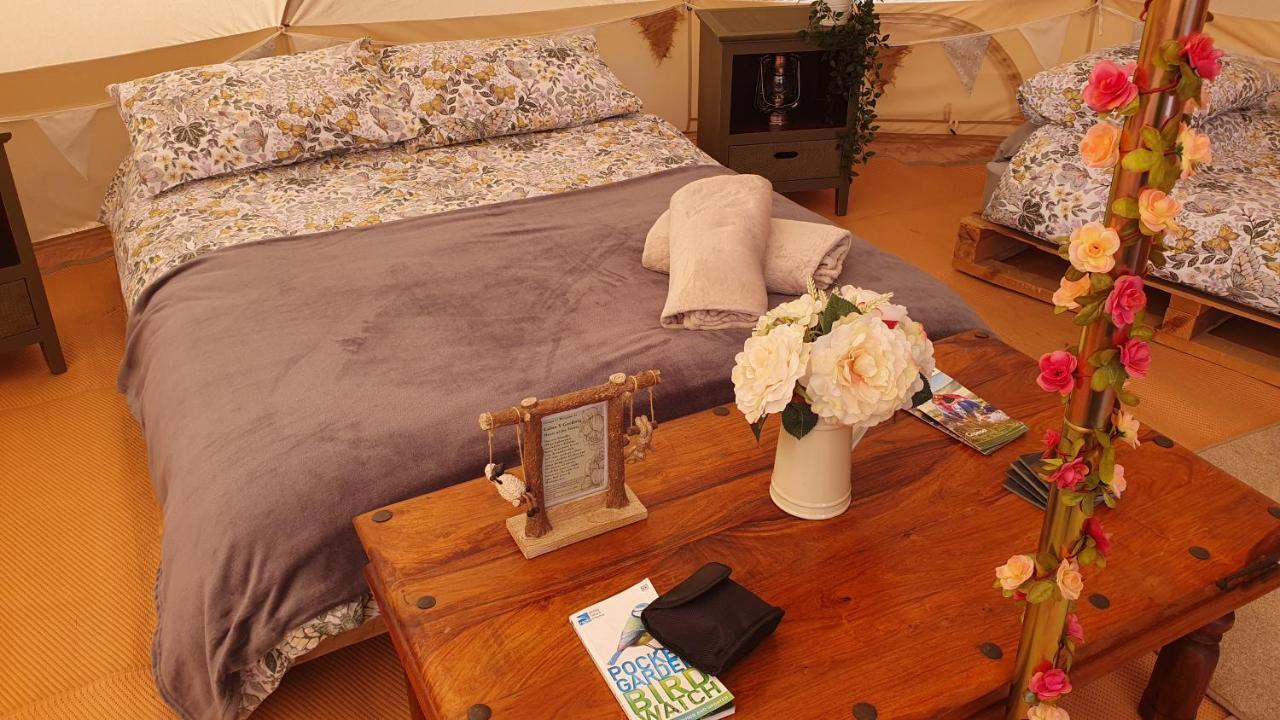 Calon Y Goedwig Glamping Hotel Llandovery Bagian luar foto
