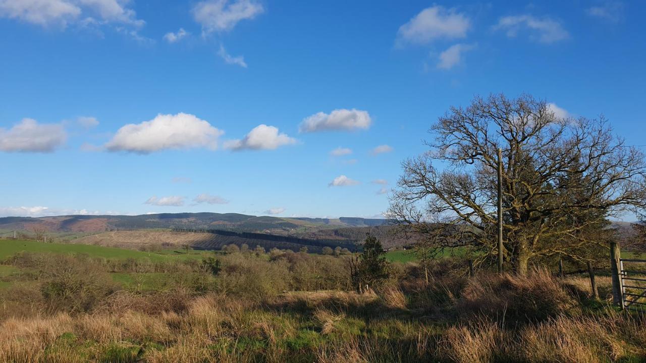 Calon Y Goedwig Glamping Hotel Llandovery Bagian luar foto