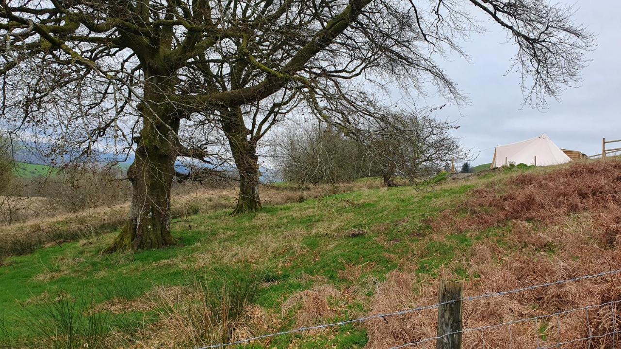 Calon Y Goedwig Glamping Hotel Llandovery Bagian luar foto