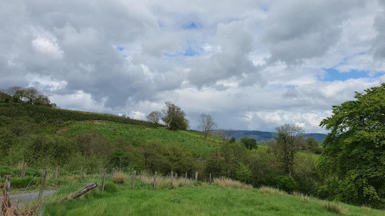 Calon Y Goedwig Glamping Hotel Llandovery Bagian luar foto