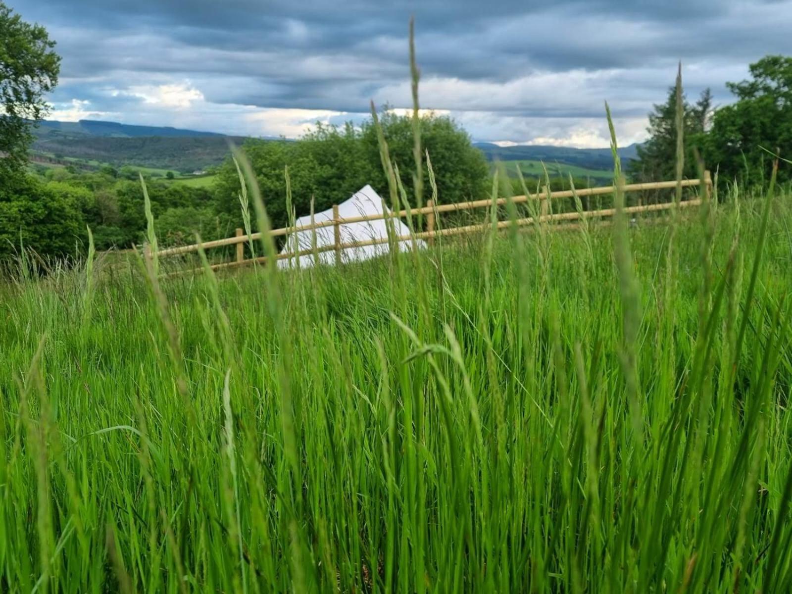 Calon Y Goedwig Glamping Hotel Llandovery Bagian luar foto